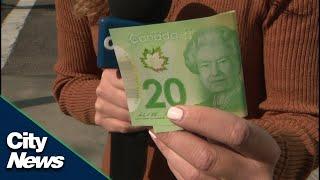 Whose face should replace Queen Elizabeth’s on Canadian currency?