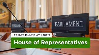 2nd Sitting of the House of Representatives - 1st Session - 13th Parliament