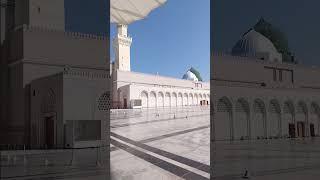 Beautiful Sence of Masjid E Nabawi #shorts #viral #islamic #islamicstatus