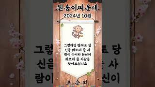 월간 원숭이띠 운세 2024년 10월 #원숭이띠 #오늘의운세 #내일의운세 #월간운세 #운세 #운세쇼츠