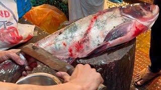 Amazing Giant Silver Carp Fish Cutting Skills In Fish Market | Fish Cutting Skills