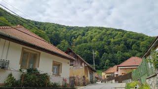 Adventures in Bükk in the heart of Ómassa-Mountain Adventures in Bükk #4k #mountains #hungary