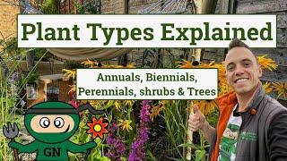 Plant Types Explained: Annuals, biennial, perennials, shrubs and trees guide