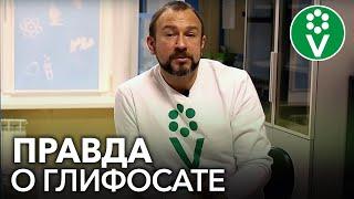 РАУНДАП: панацея от сорняков или смертельный яд? Мнение опытного биолога