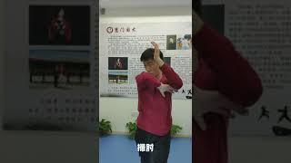 肘法教学挑肘和扫肘