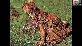 Amphibian Reproductive Modes and Their Conservation