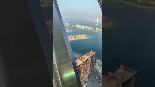 Palma dubai