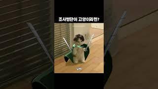 누가 젤 잘어울림?