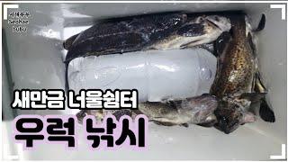 새만금 너울쉼터 우럭낚시 우당탕해봤어요!!          군산낚시 우럭낚시 새만금낚시     11월23일     서해부부 (Seohae bubu)