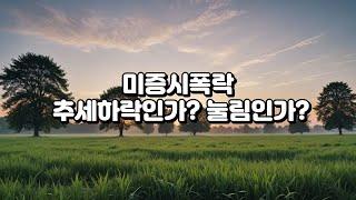 미증시폭락 추세하락인가? 눌림인가?