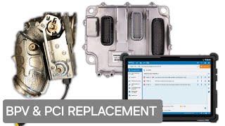 MORE DAF repairs! engine ECU and BPV diagnostics with JALTEST.