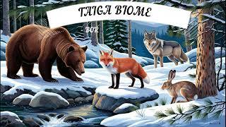 Biomes: Taiga biome - learn more about plants and animals found in the Taiga biome (boreal forests)