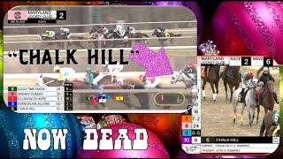 RIP "Chalk Hill" KILLED AT LAUREL  12.30.23 @MarylandRacing #horseracing