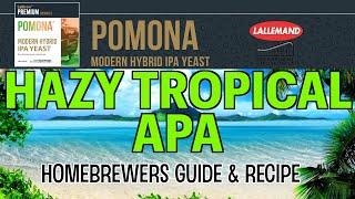 Pomona Hazy Tropical American Pale Ale Full Recipe Guide For Homebrewers