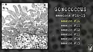 Gonococcus - Sessions #10​-​15 comp. FULL ALBUM (2023 - Gorenoise / Harsh Noise Wall)