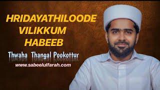HRIDAYATHILOODE VILIKKUM HABEEB || THWAHA THANGAL NEW SONG || MADH SONG || SABEELUL FARAH MEDIA