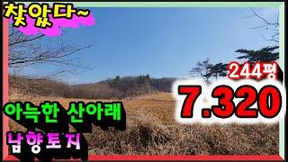 매물- 2186[당진토지][당진전원주택][이안부동산]아늑한 산아래 남향토지, 전원주택지로 완전 딱~