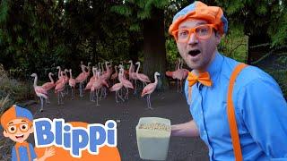 Blippi Feeds and Plays With the Zoo Animals! | Kids Cartoons | Party Playtime!