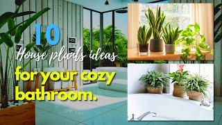 10 House Plants Ideas for your Cozy Bathroom  Bathroom Makeover 2021️