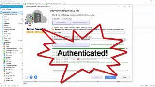 How To Decrypt WhatsApp Messages With Oxygen Forensic Detective