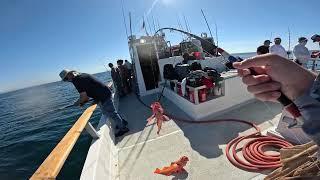 San Diego fishing charter boat trip (Merry Christmas!!!)