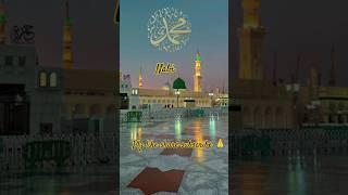 Sab Hi Ka Rahnuma Mera Nabi Hai #shorts #trending #viralvideo #viralshorts #love #tiktok #trend