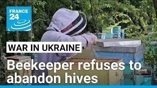 Ukrainian beekeeper refuses to abandon hives as Russian troops advance • FRANCE 24 English