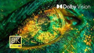 INTENSELY BRIGHT COLORS Dolby Vision® | 8K ULTRA HD HDR (OLED)