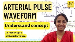 Normal Arterial pulse physiology waveform, pulse tracing, applied | CVS physiology mbbs |  practical