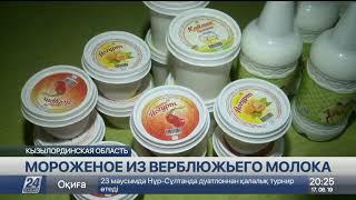 Мороженое из верблюжьего молока производят в Приаралье