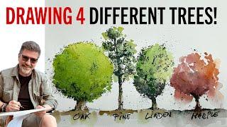 Drawing and Painting four different types of Trees with ink and watercolor.