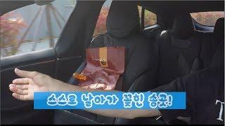 [한국에서 테슬라 타기] Tesla Model S - 짜릿한 가속감을 느껴보자!