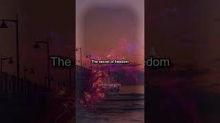 THE SECRET TO FREEDOM #shorts #philosophy #wisdom #smart #knowledge