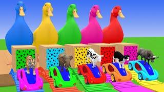 Long Slide Game With Elephant Gorilla Buffalo Hippopotamus Tiger - 3d Animal Game - Funny 3d Animals