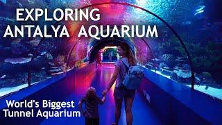 Exploring Antalya Aquarium 2020 / World's Biggest Tunnel Aquarium