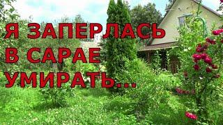 Я заперлась в сарае умирать... Очнулась в поезде, мчащемся в Москву