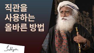 직관을 사용하는 올바른 방법 | 삿구루