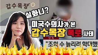 미국수의사가 본 갑수목장 폭로 사태- Veterinarian reacts to FAKE animal foster YouTuber Gabsu