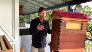 10 Common mistakes new beekeepers make live Q&A