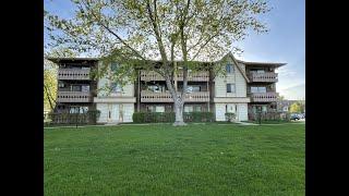 Saulius Normantas|3 Echo Ct, Apt 9|Vernon Hills, IL