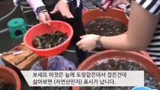 창녕공설시장