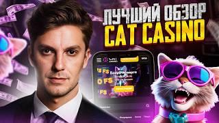 Как получить бонус при регистрации на сайте интернет казино Cat | КАЗИНО БЕЗ ДЕПОЗИТА | КЕТ СЛОТЫ