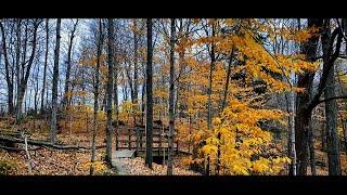 Bob Hunter Memorial Park (November 2024) - Greater Toronto Area -  Markham, Ontario, Canada