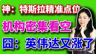 美股：特斯拉有一条线，精准给出抄底点位。英伟达又卖早了。【2025-02-10】