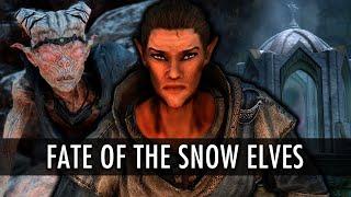 Fall of the Snow Elves - Once We Were Here | Skyrim Mods