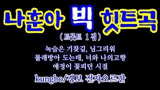 나훈아 빅 힛트 1집_트롯트 : kungbo /경보 전자오르간