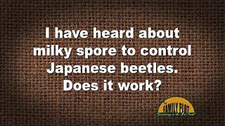 Q&A – Does milky spore control Japanese beetles?