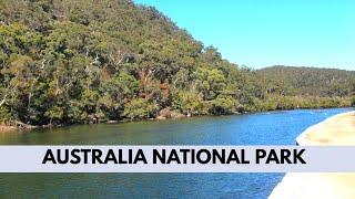 Australia National Park | Mangrove Boardwalk in Bobbin Head