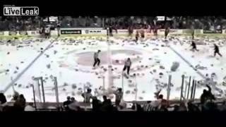 Goal triggers 26,000 teddy bear celebration