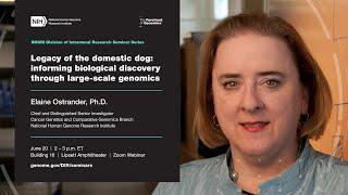 NHGRI DIR Seminar Series - Elaine Ostrander